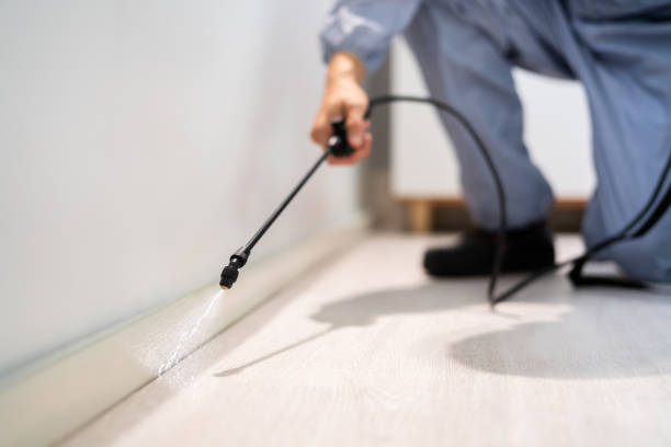 Licensed Cockroach Control service in Hamilton County County, TX - Nex Pest Control