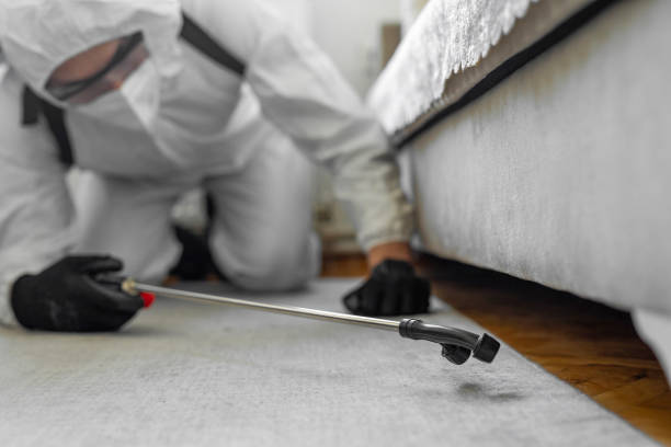 Professional Cockroach Control technician working in Hamilton County County, TX